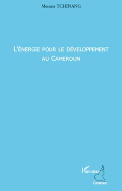 L'énergie pour le développement au Cameroun - Tchionang, Mesmer