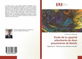 Etude de la capacité adsorbante de deux pouzzolanes de Betafo