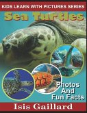 Sea Turtles: Photos and Fun Facts for Kids
