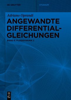 Angewandte Differentialgleichungen, Fluiddynamik 2 - Oprandi, Adriano