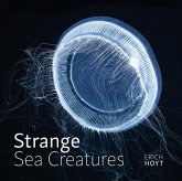 Strange Sea Creatures