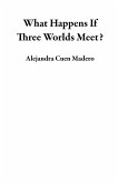 What Happens If Three Worlds Meet? (eBook, ePUB) What Happens If Three Worlds Meet? (eBook, ePUB)