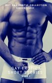 Gay Erotica Short Stories - Book 1 (eBook, ePUB) Gay Erotica Short Stories - Book 1 (eBook, ePUB)