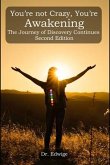 You're Not Crazy, You're Awakening: The Journey of Discovery Continues (eBook, ePUB)