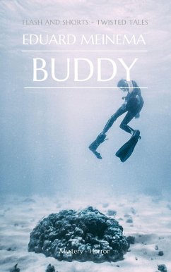 Buddy (Flash & Shorts) (eBook, ePUB) - Meinema, Eduard
