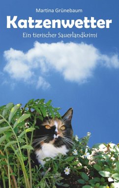 Katzenwetter (eBook, ePUB)