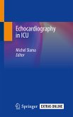 Echocardiography in ICU (eBook, PDF)