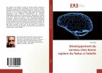 Développement du cerveau chez Homo sapiens du f¿tus à l'adulte