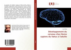 Développement du cerveau chez Homo sapiens du f¿tus à l'adulte - O'Daly, Jose