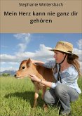 Mein Herz kann nie ganz dir gehören (eBook, ePUB)