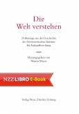 Die Welt verstehen (eBook, ePUB)