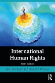 International Human Rights (eBook, ePUB)