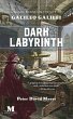 Dark Labyrinth: A Novel Based on the... - Bild 1