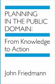 Planning in the Public Domain (eBook, ePUB)