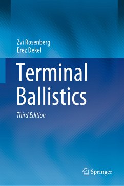 Terminal Ballistics (eBook, PDF) - Rosenberg, Zvi; Dekel, Erez