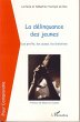 La délinquance des jeunes - Bild 1