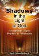 Shadows in the Light of God - Bild 1