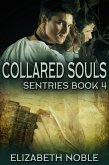 Collared Souls (eBook, ePUB)