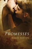 Promesses (eBook, ePUB) Promesses (eBook, ePUB)