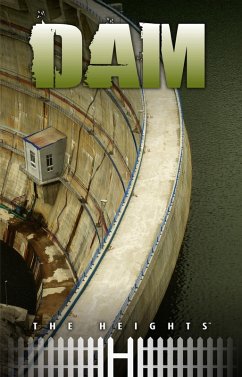 Dam (eBook, ePUB)