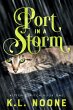 Port in the Storm (eBook, ePUB) - Bild 1