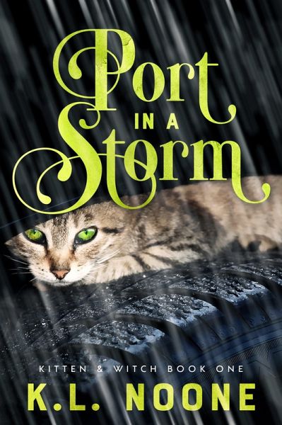 Port in the Storm (eBook, ePUB)