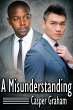 Misunderstanding (eBook, ePUB) - Bild 1