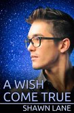 Wish Come True (eBook, ePUB)