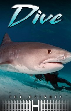 Cover Dive (eBook, ePUB)