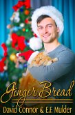 Ginger Bread (eBook, ePUB)