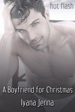 Cover Boyfriend for Christmas (eBook, ePUB)