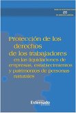 Protección de los derechos de los trabajadores (eBook, ePUB)