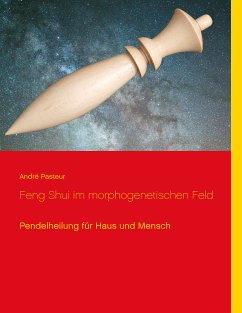 Feng Shui im morphogenetischen Feld (eBook, ePUB)