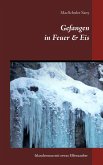 Gefangen in Feuer & Eis (eBook, ePUB)