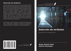 Selección de atributos - Khellat Kihel, Badra;Chouraqui, Samira