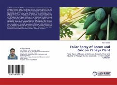 Foliar Spray of Boron and Zinc on Papaya Plant