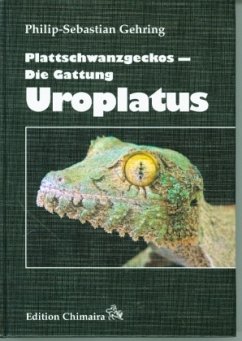Plattschwanzgeckos - Gehring, Philip-Sebastian