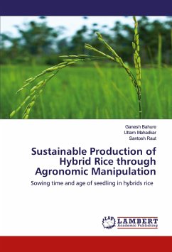 Sustainable Production of Hybrid Rice through Agronomic Manipulation