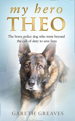 My Hero Theo (eBook, ePUB) - Greaves, Gareth
