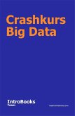 Crashkurs Big Data (eBook, ePUB)