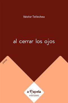 Al cerrar los ojos (eBook, ePUB) - Tellechea, Néstor