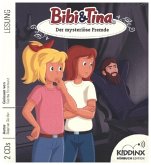 Der mysteriöse Fremde / Bibi & Tina-Romanreihe Bd.2 (2 Audio-CDs)