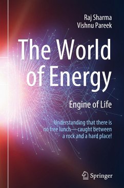 The World of Energy - Sharma, Raj;Pareek, Vishnu