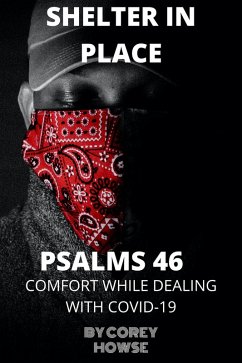 Cover Shelter In Place (eBook, ePUB)