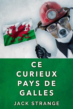 Cover Ce Curieux Pays De Galles (eBook, ePUB)