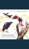 Zopilotes (eBook, ePUB)