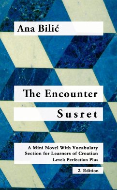 The Encounter / Susret (C1) (eBook, ePUB) - Bilic, Ana