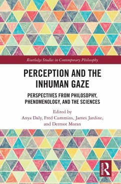 Perception and the Inhuman Gaze (eBook, PDF)