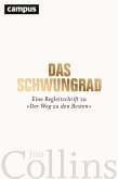 Das Schwungrad (eBook, ePUB)