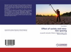 Effect of variety and intra-row spacing - Murinzi, Vincent